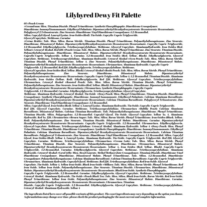 Lilybyred Dewy Fit Palette