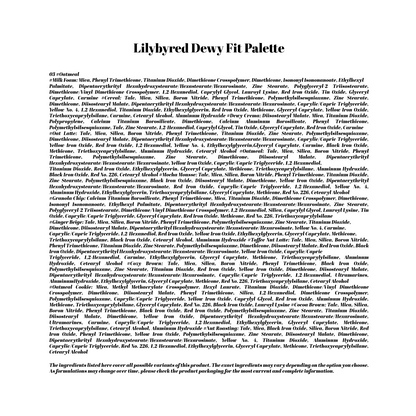 Lilybyred Dewy Fit Palette